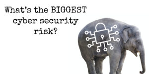 What’s the biggest cyber security risk?