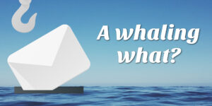 A whaling what…???