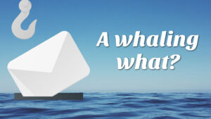 A whaling what…???